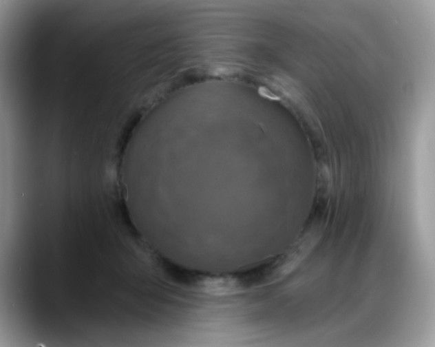 X0000088180415200705291956