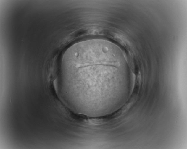 X0000088180417200705291956