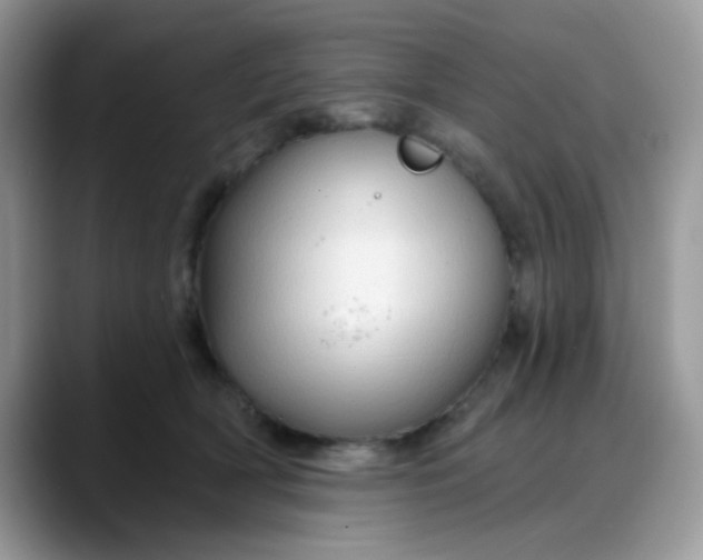 X0000088180418200705291956