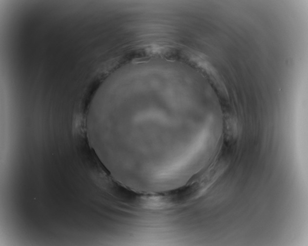 X0000088180419200705291956