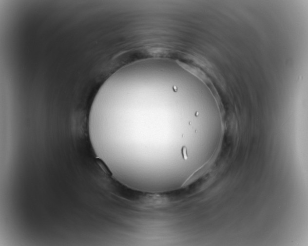 X0000088180421200705291956