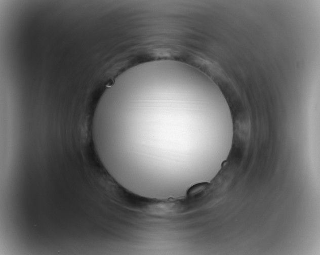 X0000088180422200705291956