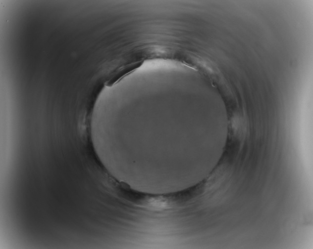 X0000088180423200705291956