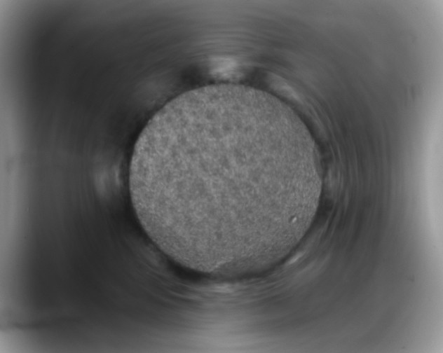 X0000088180424200705291956