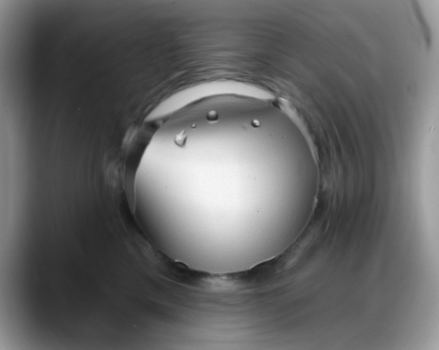 X0000088180425200705291956