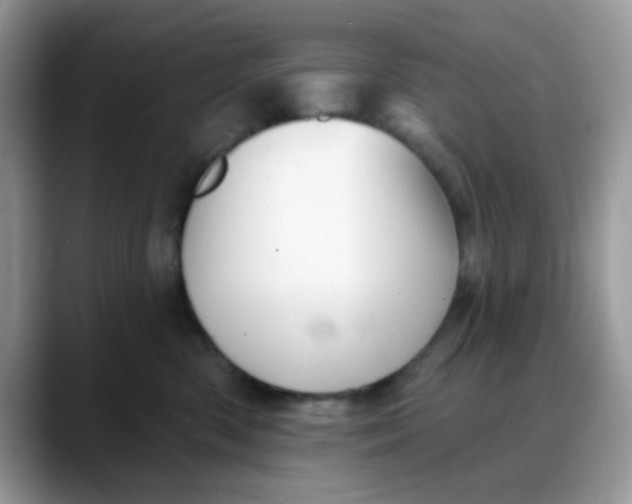 X0000088180426200705291956