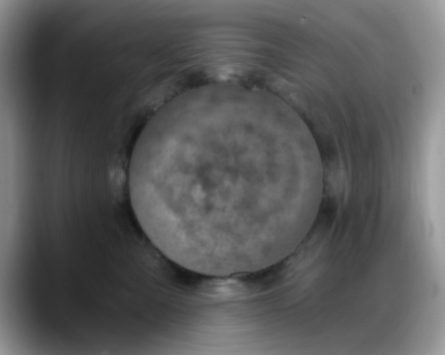 X0000088180427200705291956