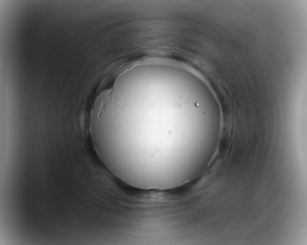 X0000088180428200705291956