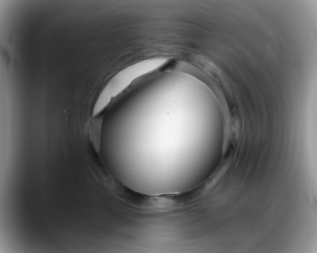 X0000088180429200705291956