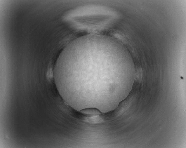 X0000088180431200705291956