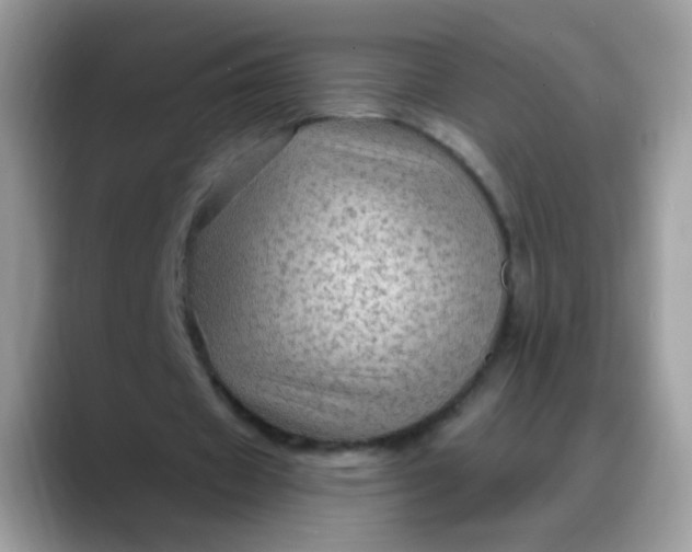 X0000088180433200705291955