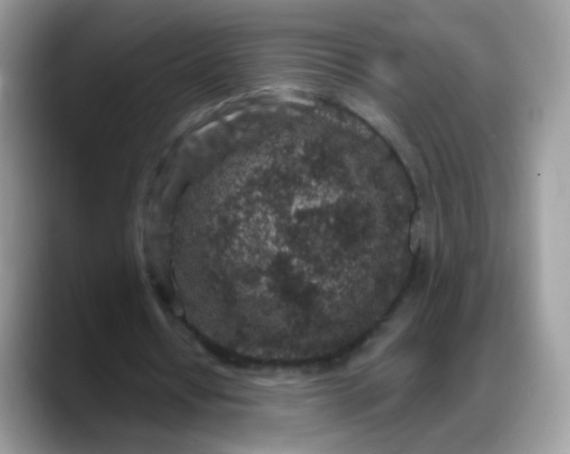 X0000088180434200705291955