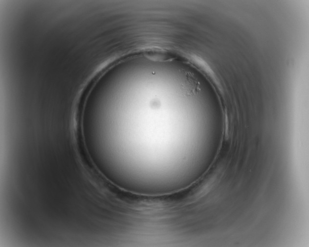 X0000088180435200705291955