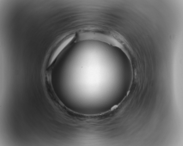 X0000088180436200705291955