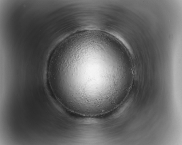 X0000088180437200705291955