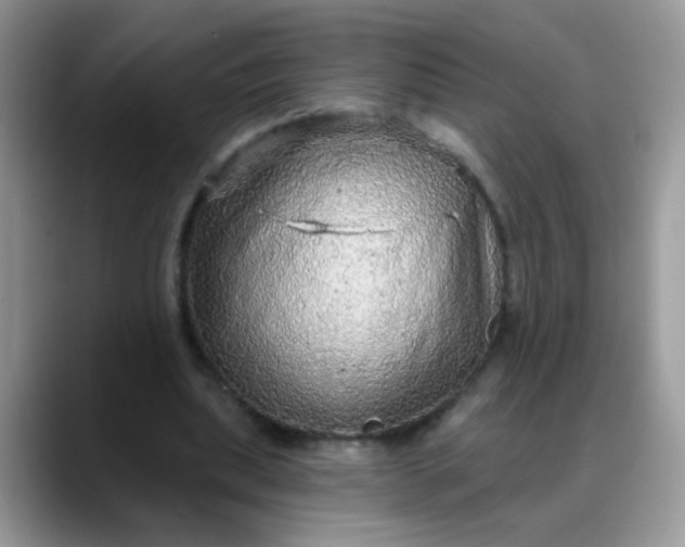 X0000088180439200705291955