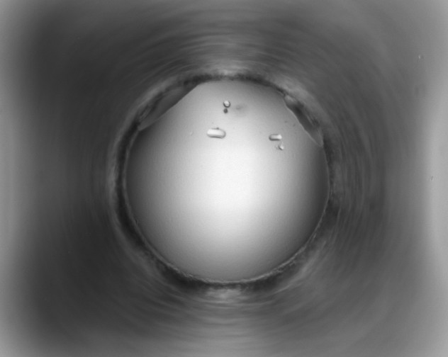 X0000088180440200705291955