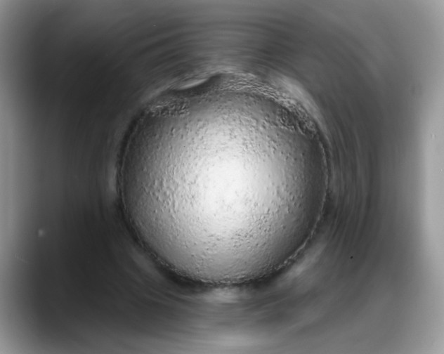 X0000088180441200705291955