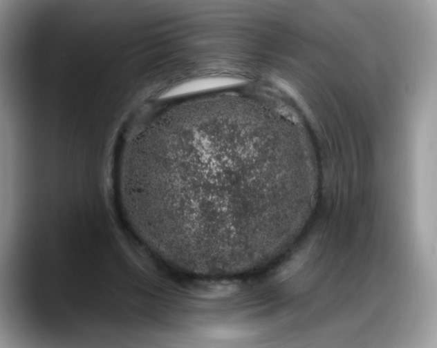 X0000088180443200705291955