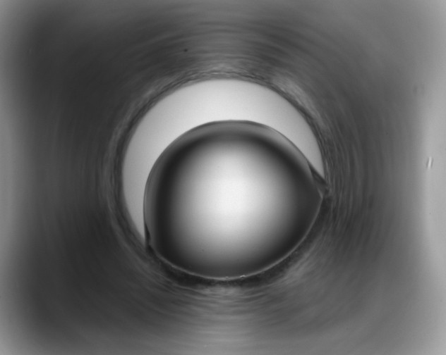 X0000088180444200705291955