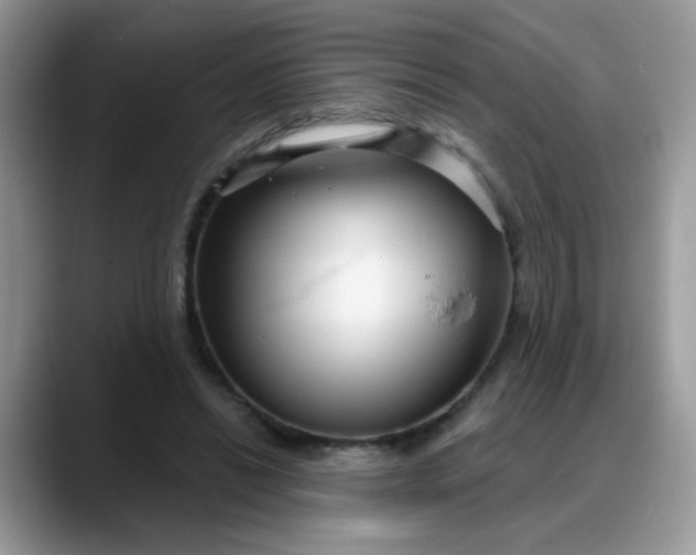 X0000088180446200705291955