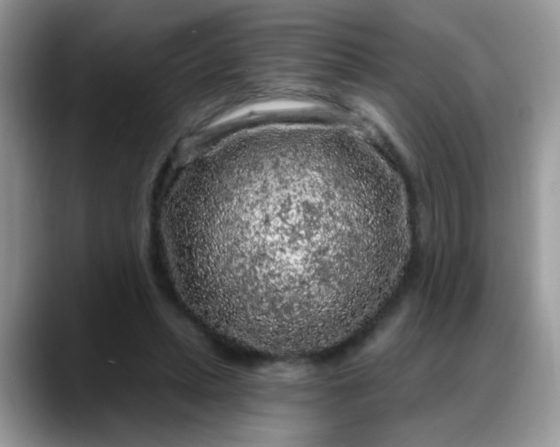 X0000088180447200705291955