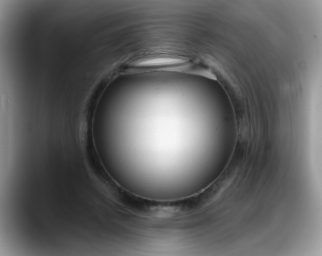 X0000088180448200705291955