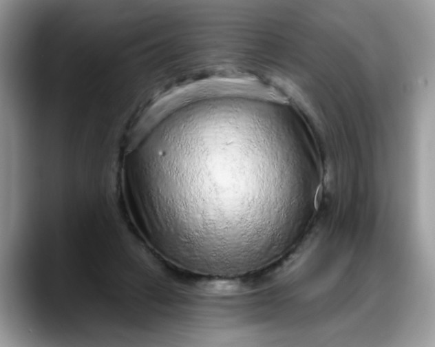 X0000088180449200705291955