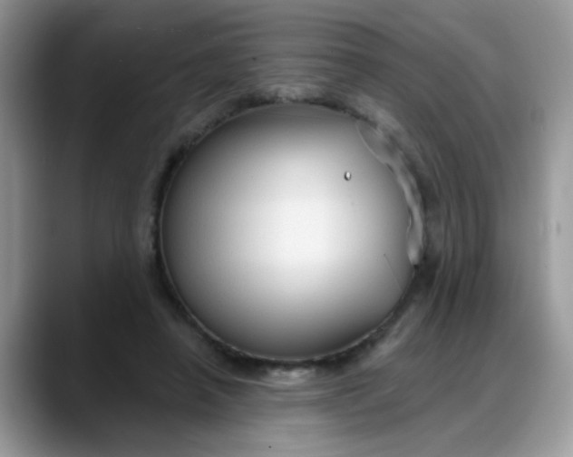 X0000088180450200705291955