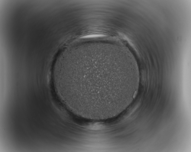 X0000088180451200705291955