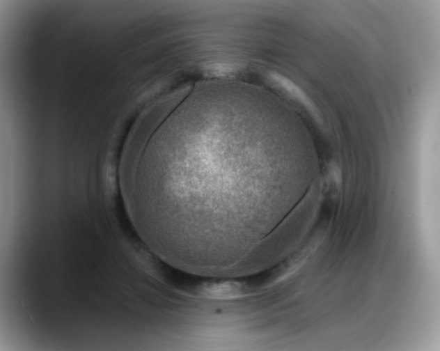 X0000088180452200705291955