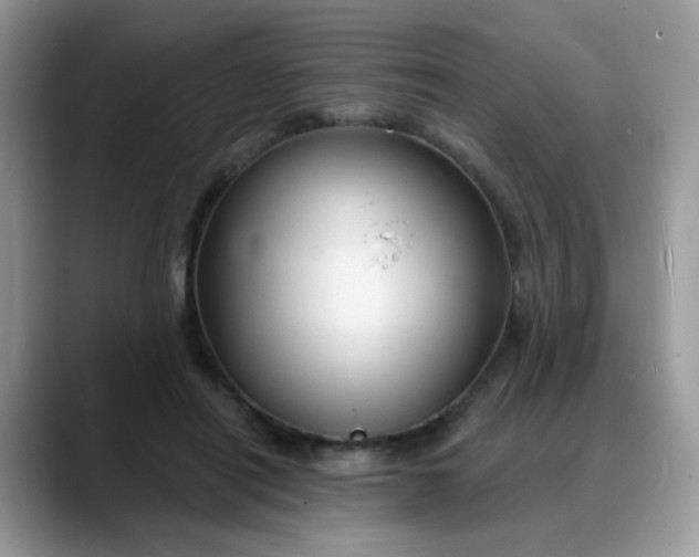 X0000088180454200705291955