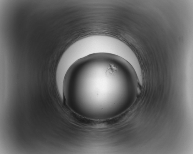 X0000088180456200705291955