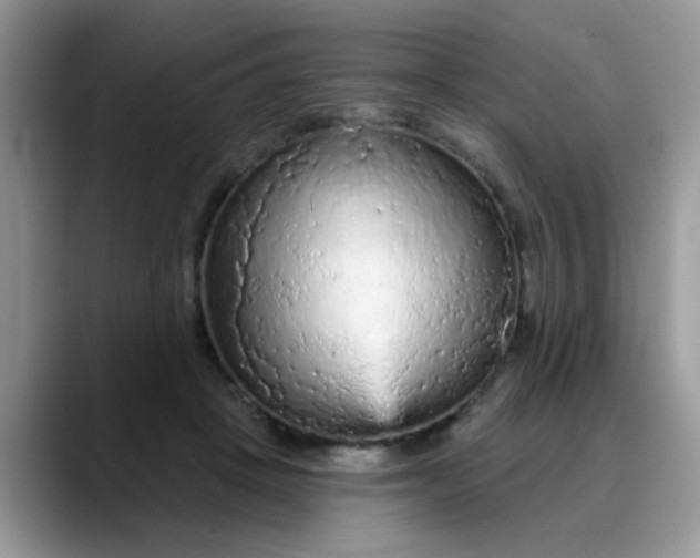 X0000088180457200705291955