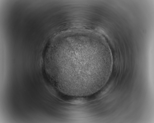 X0000088180459200705291955