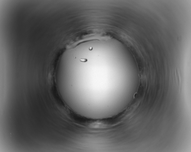 X0000088180460200705291955