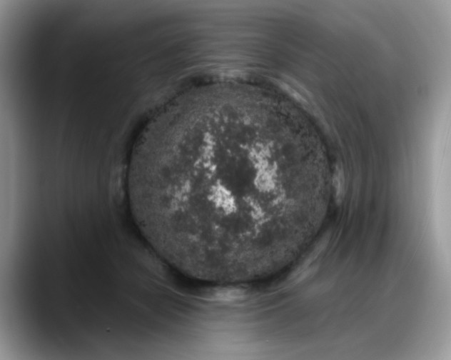 X0000088180462200705291955