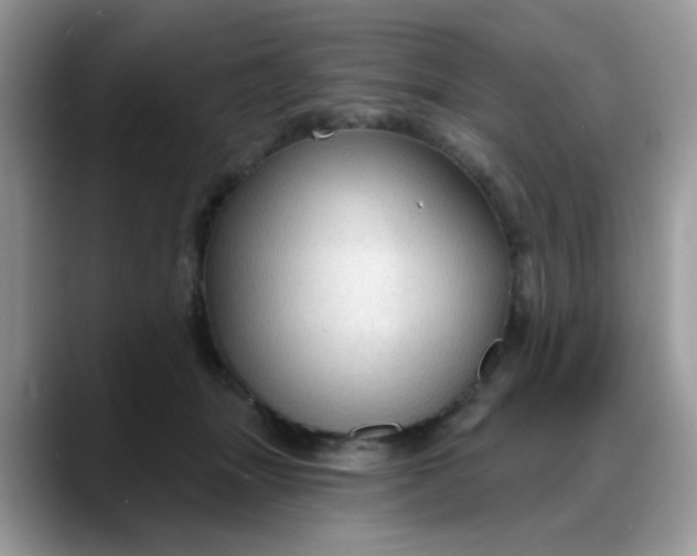 X0000088180463200705291955