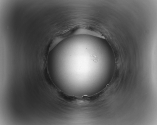 X0000088180464200705291955