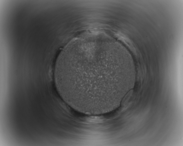 X0000088180465200705291955