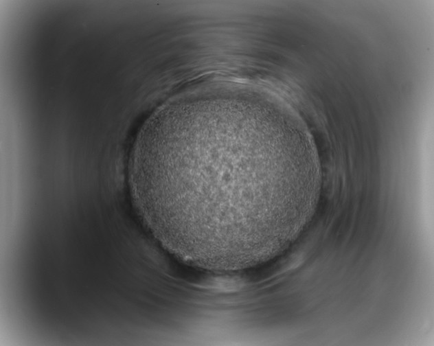 X0000088180466200705291955