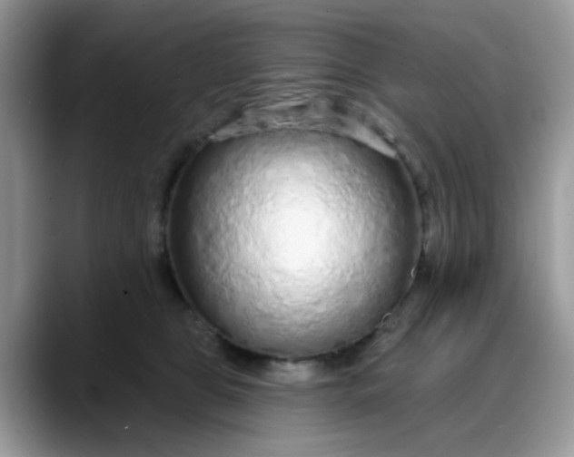 X0000088180469200705291955