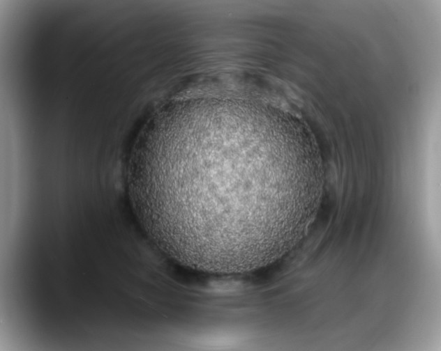 X0000088180470200705291955