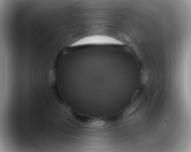 X0000088180471200705291955