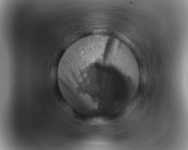 X0000088180475200705291955