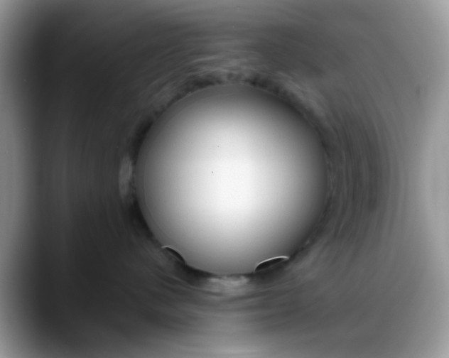 X0000088180480200705291956