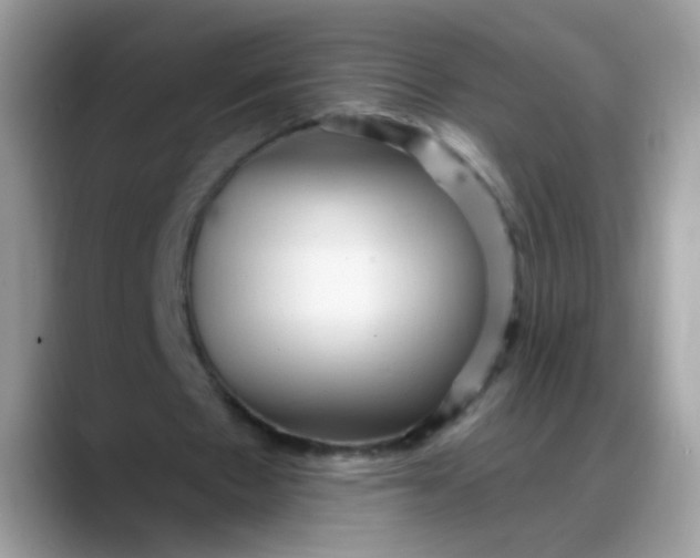 X0000088180481200705291955