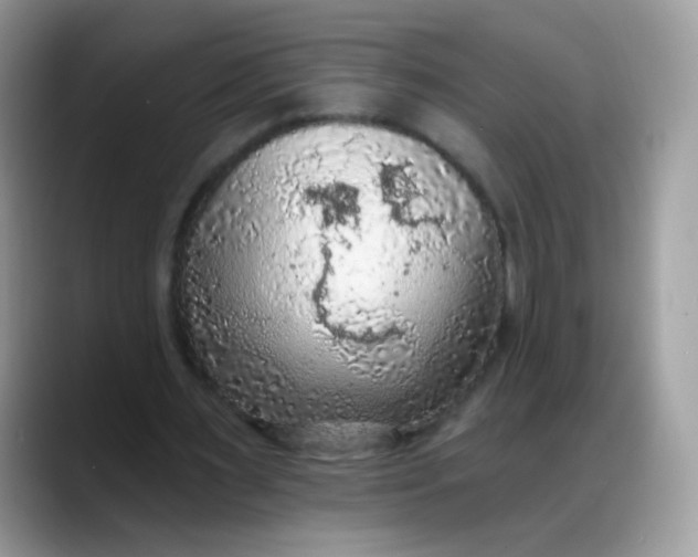 X0000088180483200705291955