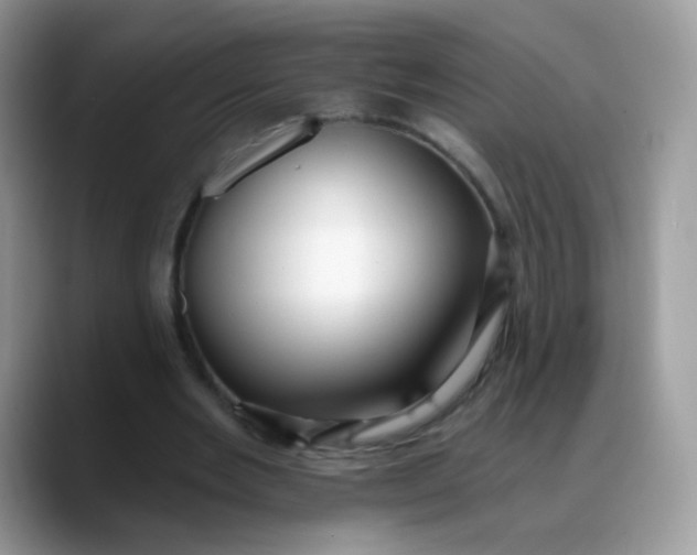 X0000088180485200705291955