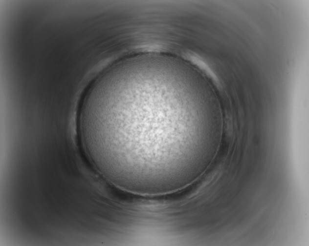 X0000088180486200705291955